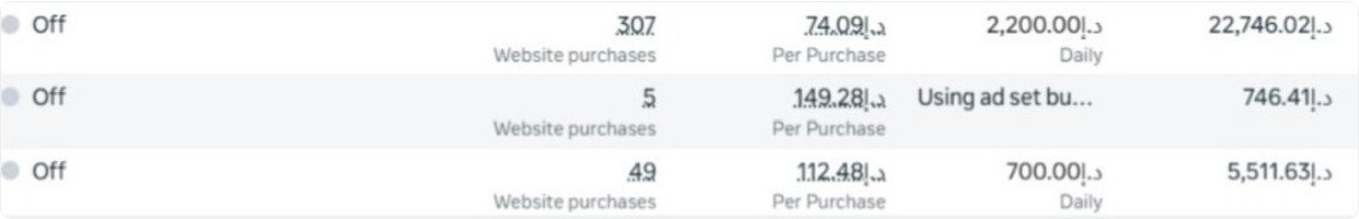 Meta Ads Manager purchase campaigns: website purchases, cost per purchase, daily budget and spend, with campaign names removed
